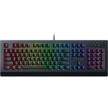 Gaming keyboard Razer Cynosa V2 USB (RZ03-03400700-R3R1)